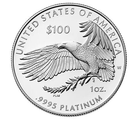 2024-W Platinum Proof Coin - First Strike - PR69DCAM PCGS — view 2